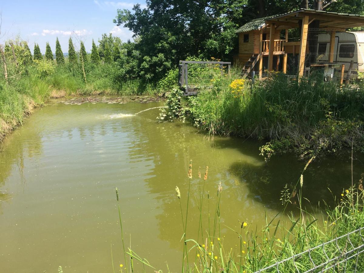 Wyspadrzewodomek Kamionna  Dış mekan fotoğraf